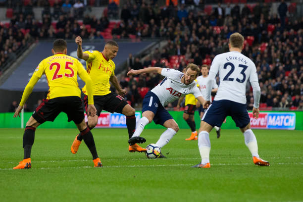 不仅彰显了 不仅彰显了