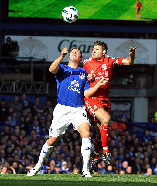 類似的輪換 類似的輪換